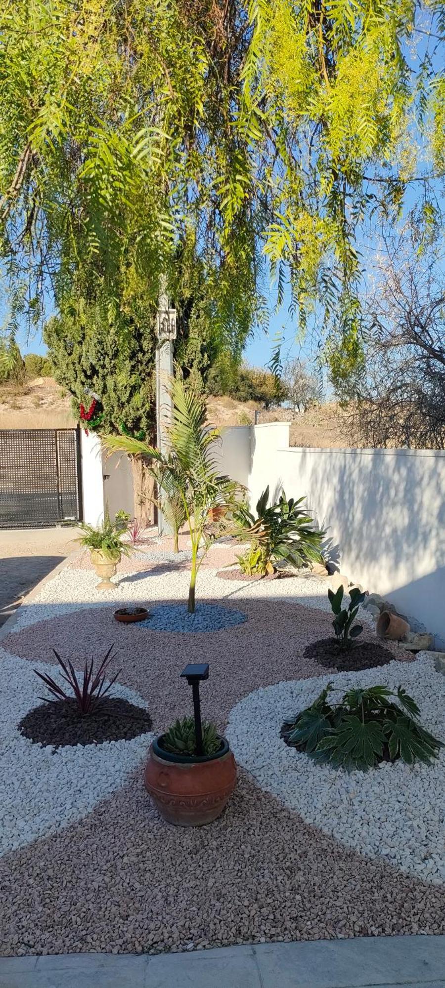 Casa Rural Con Piscina Climatizada Y Barbacoa A 10 Km De Alicante Y Playas, 3000 M2 De Terreno Elche Eksteriør bilde